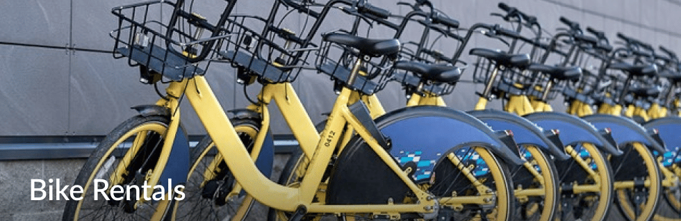 Bicicletas de renta